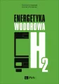 Energetyka wodorowa - tantis.pl