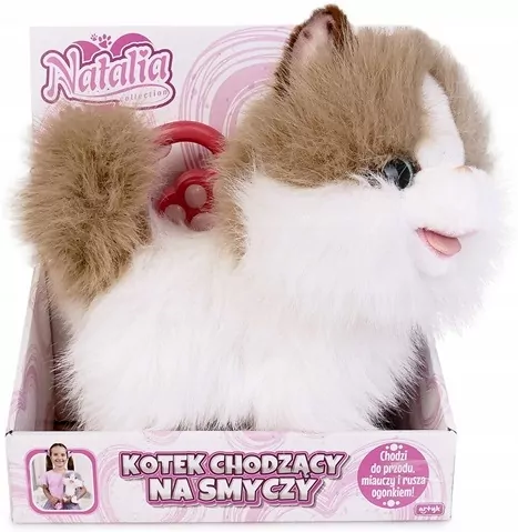Kot chodzący na smyczy biało rudy - tantis.pl