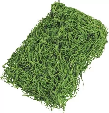 Trawa dekoracyjna zielona 20g - tantis.pl