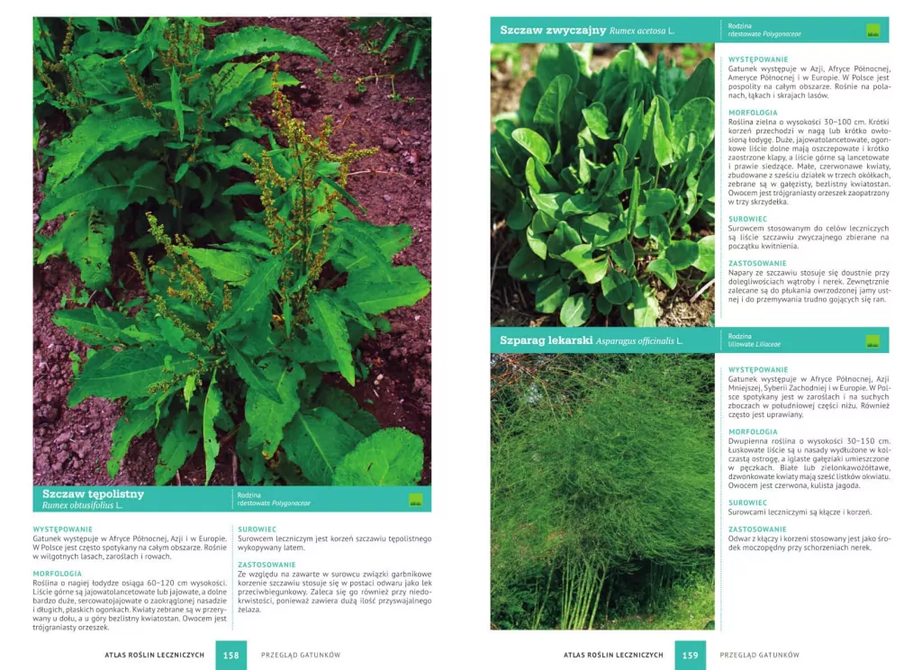 Atlas roślin leczniczych - tantis.pl