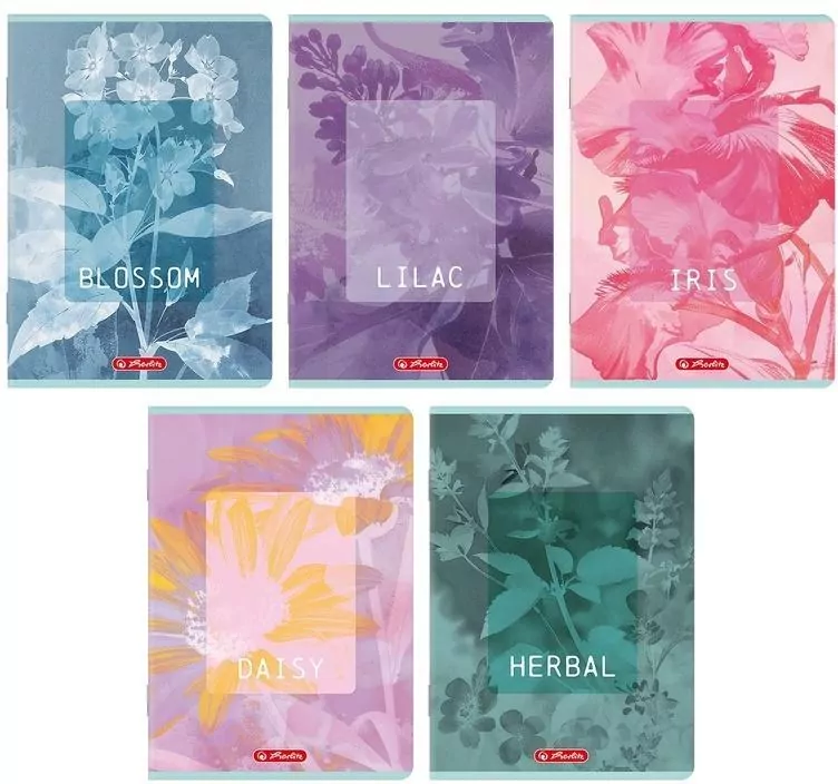 Zeszyt A5/60K kratka Blossom  HERLITZ - tantis.pl