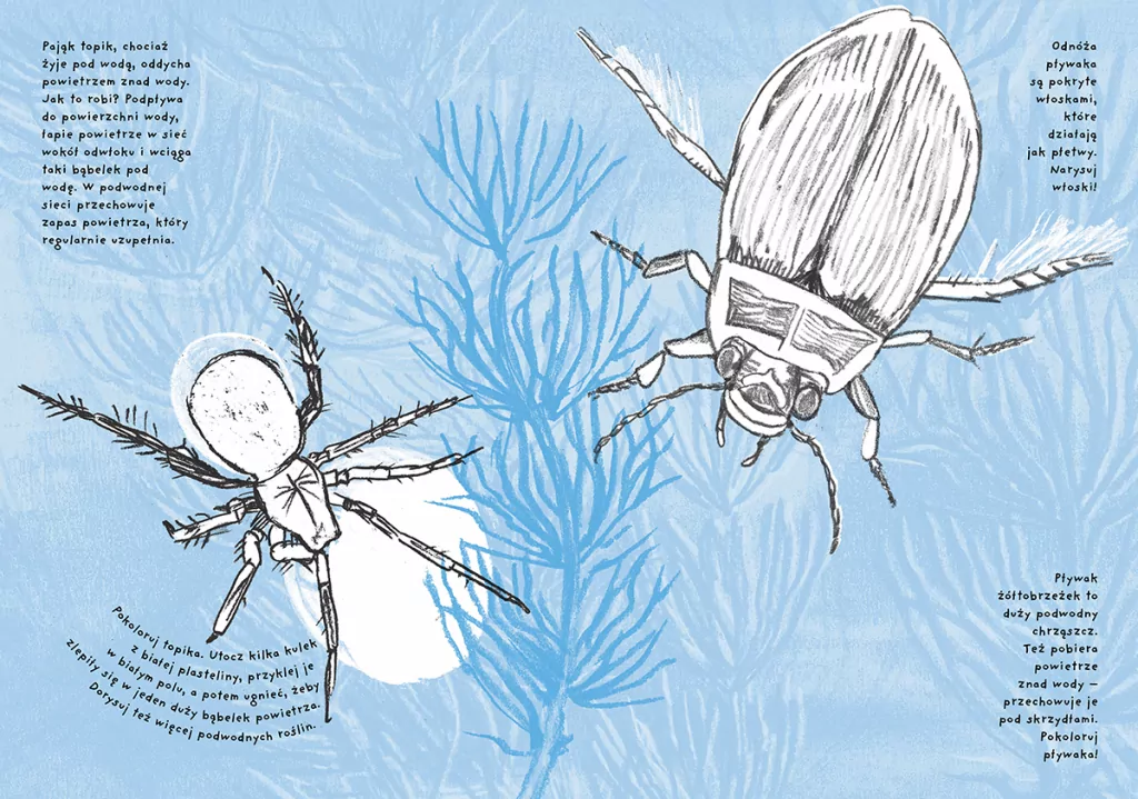 Kajak. Ćwiczenia przyrodnicze dla czterolatków. Mądrale - tantis.pl