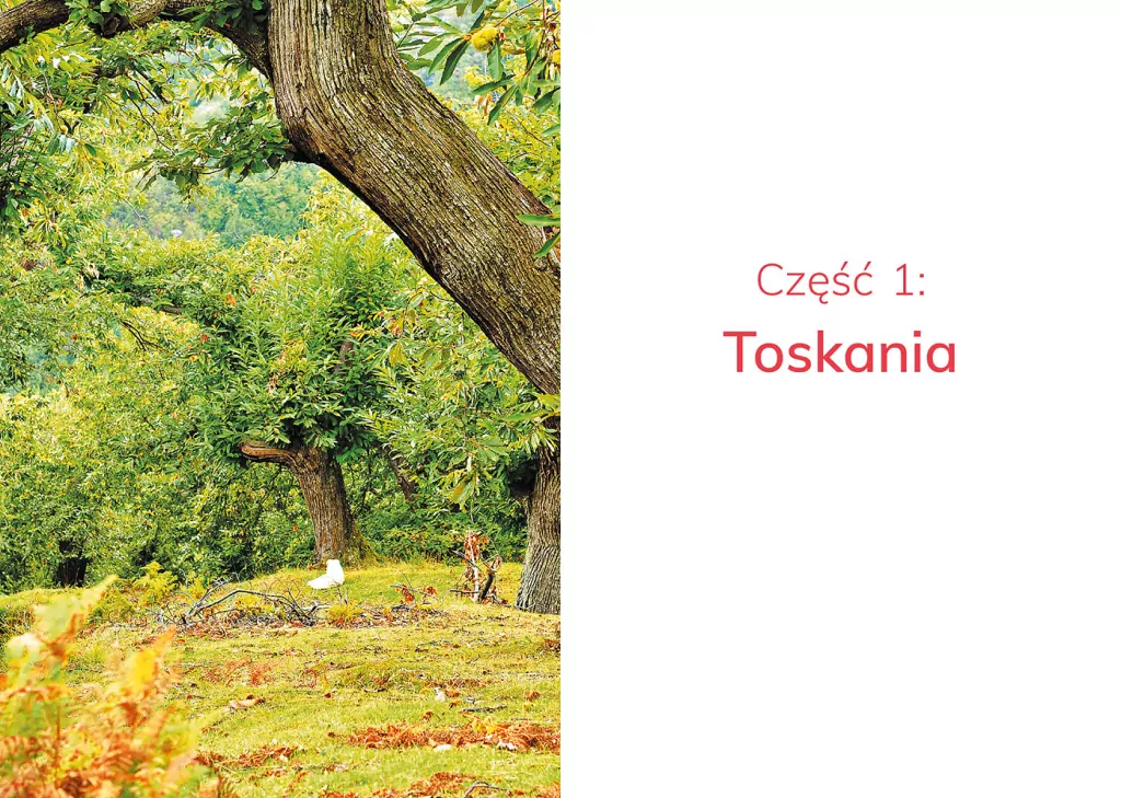 Nieznane. Toskania i Romania - tantis.pl