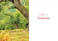 Nieznane. Toskania i Romania - tantis.pl