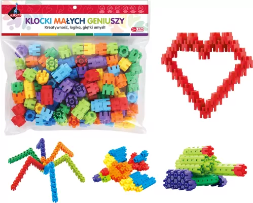 Klocki konstrukcyjne. 100 elementów