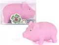 Szczęśliwa świnka. Gniotek - tantis.pl