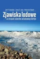 Zjawiska lodowe na brzegach akwenów południowego.. - tantis.pl