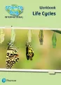 Science Bug: Life cycles Workbook - tantis.pl