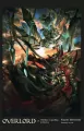 Overlord 14. Wiedźma z upadłego królestwa - tantis.pl
