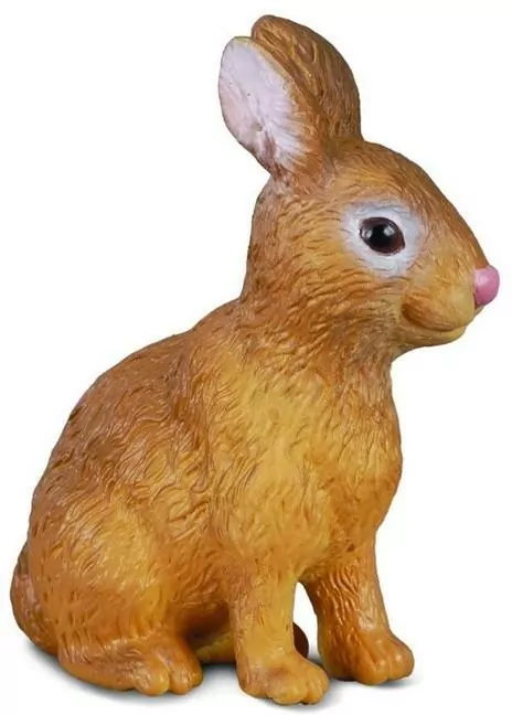 Królik S - tantis.pl