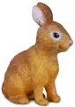 Królik S - tantis.pl