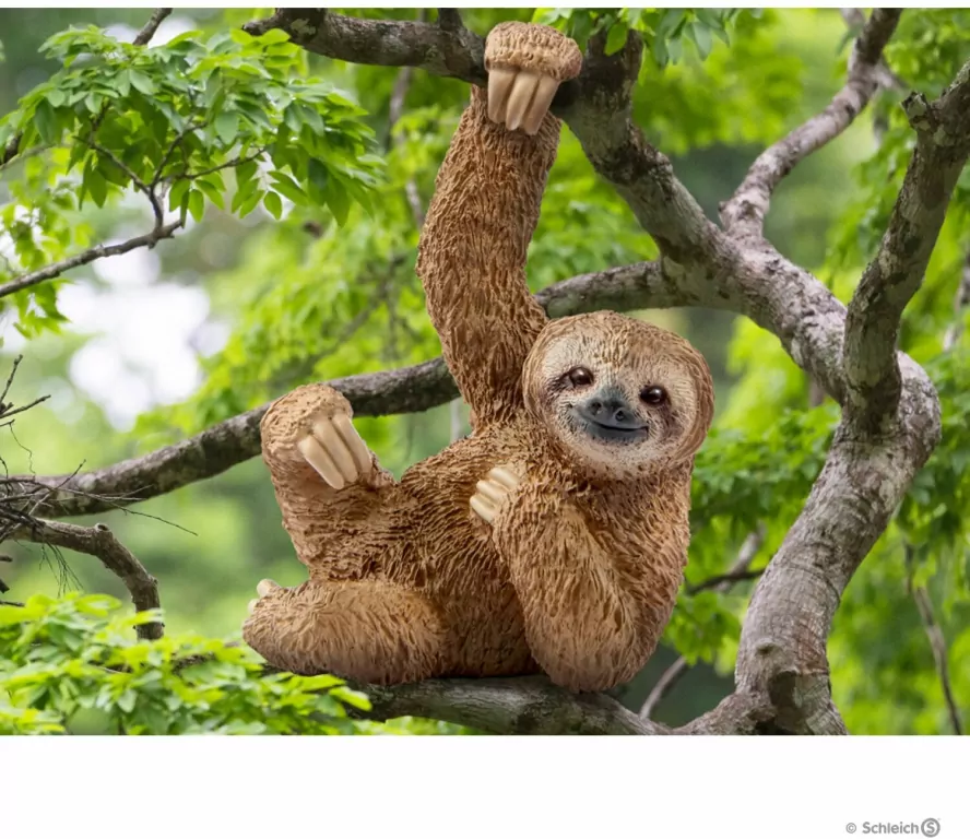 Leniwiec Wild Life 14793 - tantis.pl