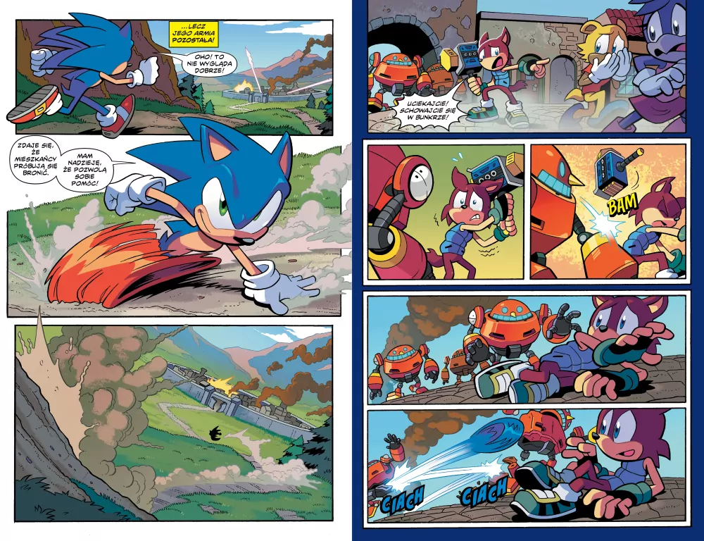 Sonic the Hedgehog T.1 Punkt zwrotny 1 - tantis.pl