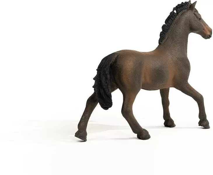 Ogier oldenburski 13946 - tantis.pl