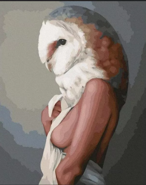 Malowanie po numerach. Kobieta Sowa 40x50 cm - tantis.pl