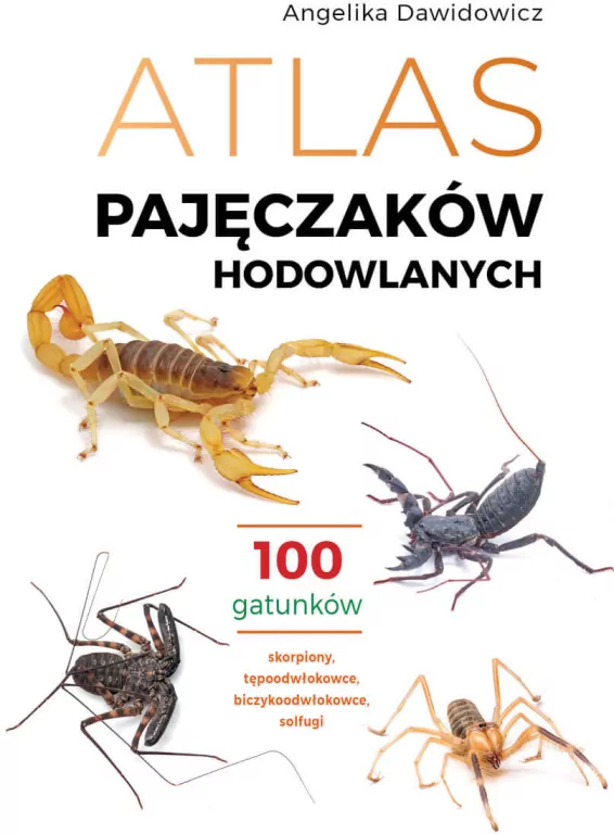 Atlas pajęczaków hodowlanych. 100 gatunków - tantis.pl