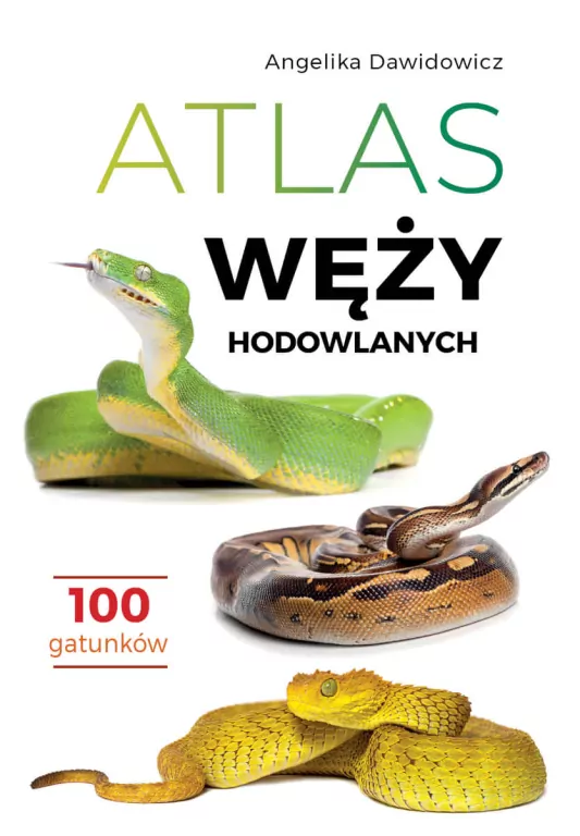 Atlas węży hodowlanych. 100 gatunków - tantis.pl