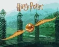 Malowanie po numerach - Harry Potter. Złoty Znicz - tantis.pl