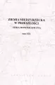 Ziemia Międzyrzecka w przeszłości T.19 - tantis.pl