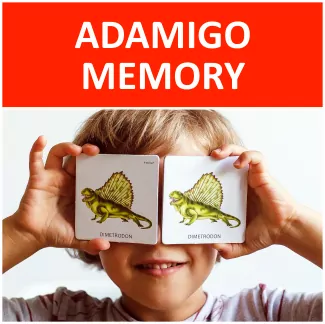 Adamigo Memory