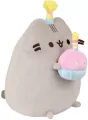 Pusheen z tortem - tantis.pl
