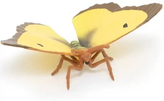 Szlaczkoń sylwetnik