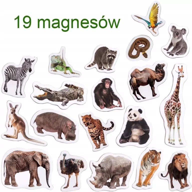 Zestaw magnesów dla dzieci. ZOO - tantis.pl