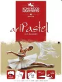 Blok do pasteli. Sepia art. A4 20ark. 180G - tantis.pl