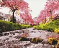 Malowanie po numerach BRUSHME 40x50cm Rzeka przy sakurze - tantis.pl