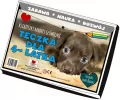 Teczka dla 4 latka. Książeczki mądrej główeczki - tantis.pl