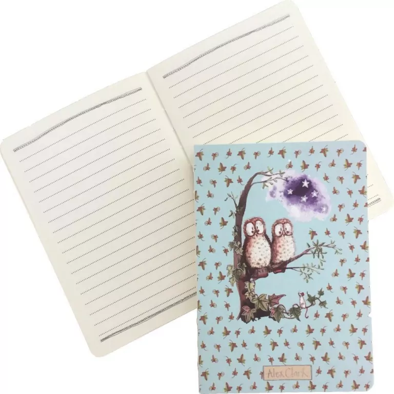 NK09 Notatnik SPINE Sowy - tantis.pl