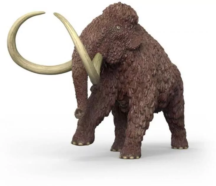 Mamut - tantis.pl