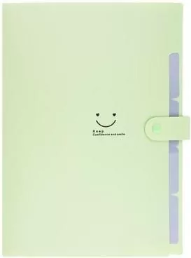 Teczka plastikowa A4 z 5 przegródkami. Zielona - tantis.pl