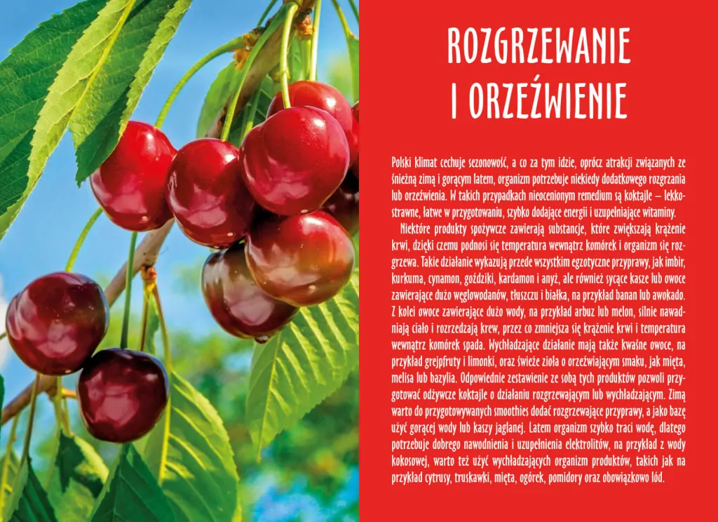 Koktajle. Naturalne źródło witalności - tantis.pl