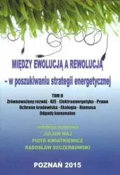 Między ewolucją a rewolucją - w poszukiwaniu strategii energetycznej. Tom 2