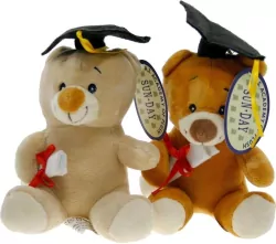 Maskotka Miś Absolwent 12cm MIX