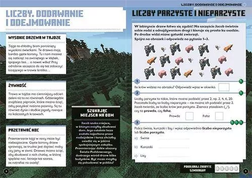 Minecraft. Matematyka. Megazadania. 8+ - tantis.pl