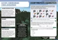 Minecraft. Matematyka. Megazadania. 8+ - tantis.pl