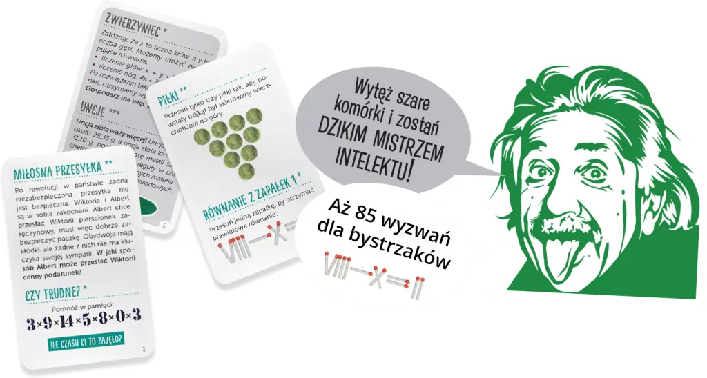 Dzika logika. Zagadki i łamigłówki - tantis.pl