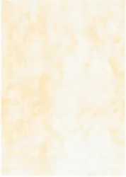 KARTON OZD A4 KREM 220G GAL PAP MARMUR OP20S