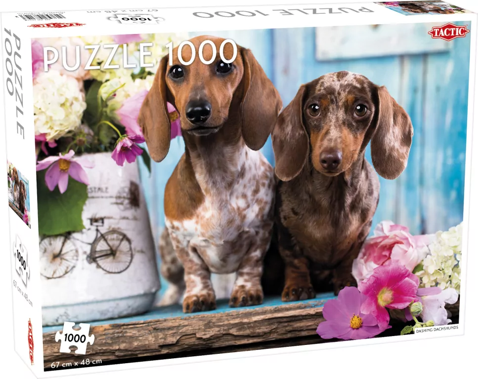 Puzzle 1000. Dashing Dachshunds - tantis.pl