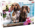 Puzzle 1000. Dashing Dachshunds - tantis.pl