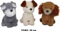 Pies 22cm MIX - tantis.pl
