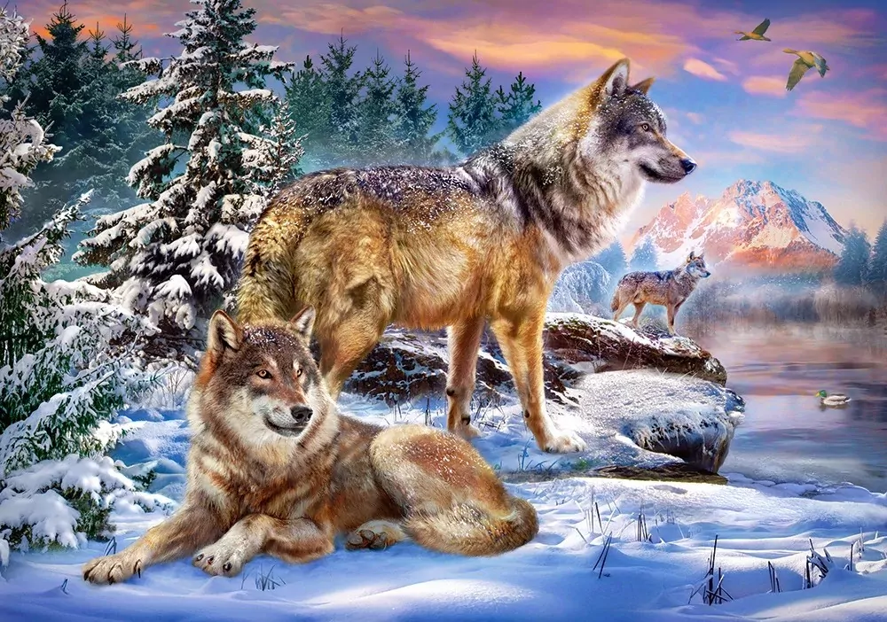 Castor. Puzzle 500 Wolfish Wonderland - tantis.pl