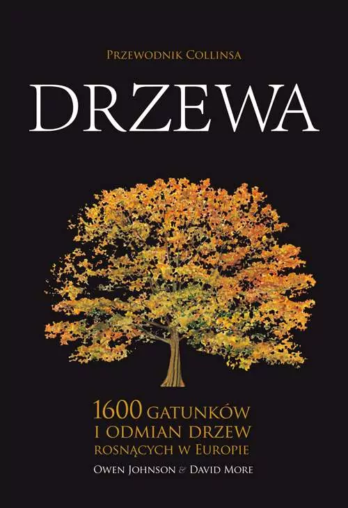 Drzewa. Przewodnik Collinsa - tantis.pl