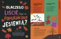 Tęcza w kosmosie. Kolorowy przewodnik po tym, co ciekawe - tantis.pl