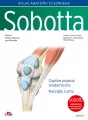 Atlas anatomii człowieka Sobotta. Tom 1. Angielskie mianownictwo. Ogólne pojęcia anatomiczne. Narząd - tantis.pl
