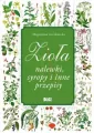 Zioła, nalewki, syropy i inne przepisy - tantis.pl