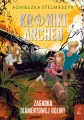 Kroniki Archeo T.5 Zagadka Diamentowej Doliny - tantis.pl