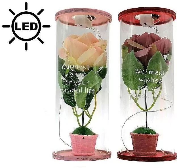 Róża w tubie LED MIX - tantis.pl